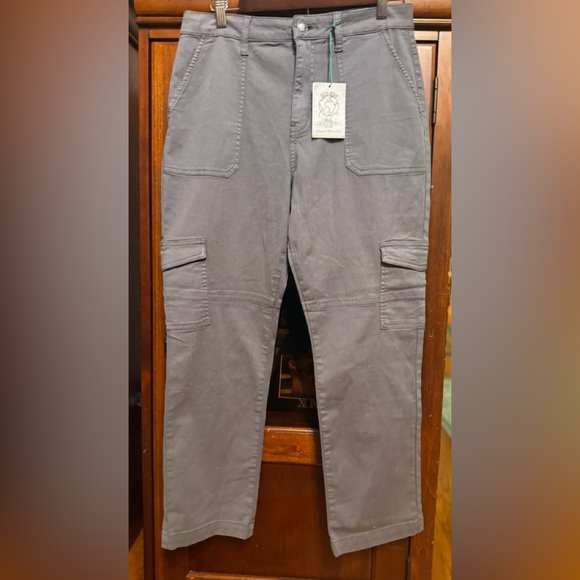 Cosmic Blue Love Pants - Stitch Fix Cosmic Blue Love Stylish Women's Gray Cargo Pants NWT size 30